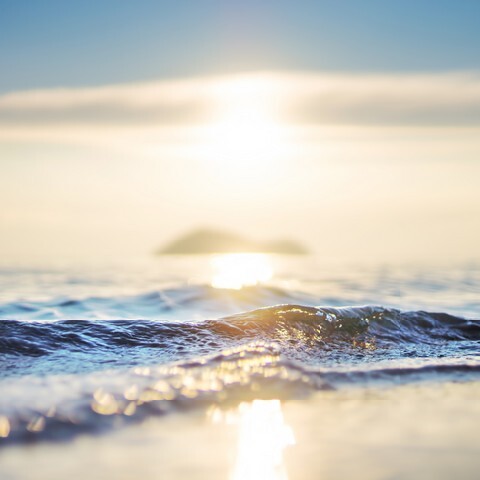 Beautiful sea wave